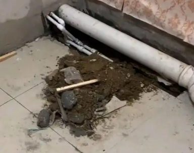城西卫生间漏水检测哪家好
