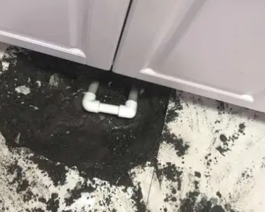 城西查漏水哪家好