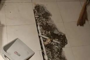 城西卫生间漏水检测电话